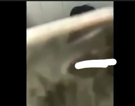 Ketahaun Mabar Sama Pacar Di Toilet Umum